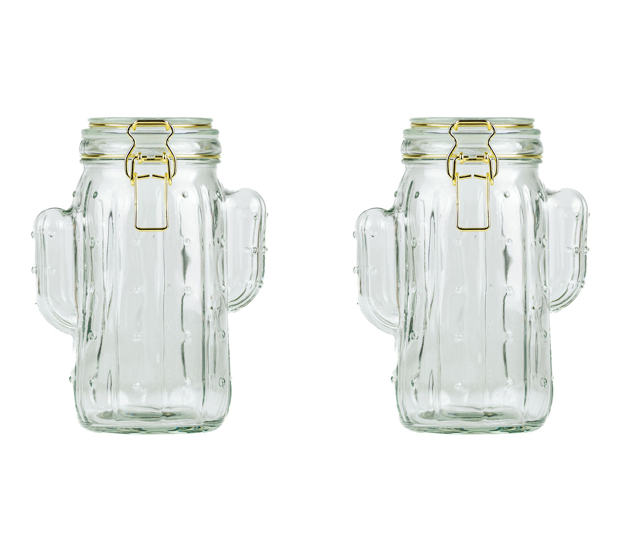 10 Strawberry Street Set of 2 Saguaro HermeticJ rs, Medium