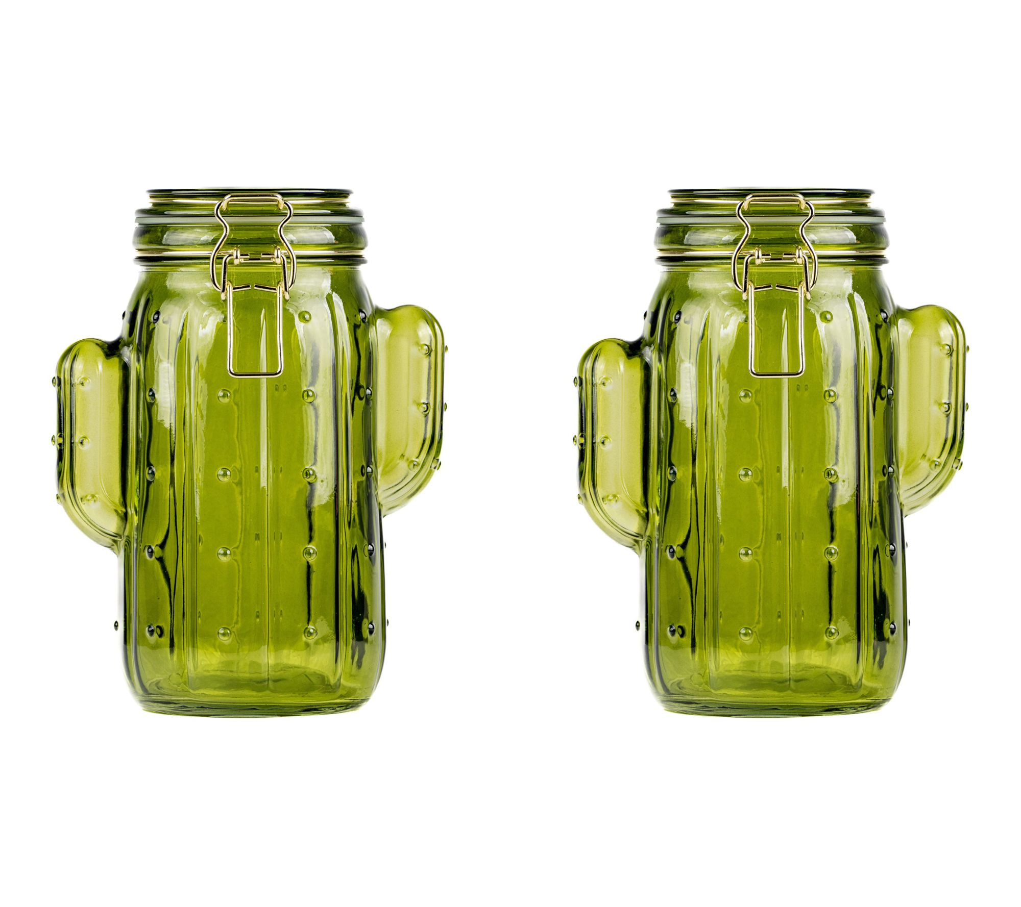 10 Strawberry Street Set of 2 Saguaro HermeticJars, Medium