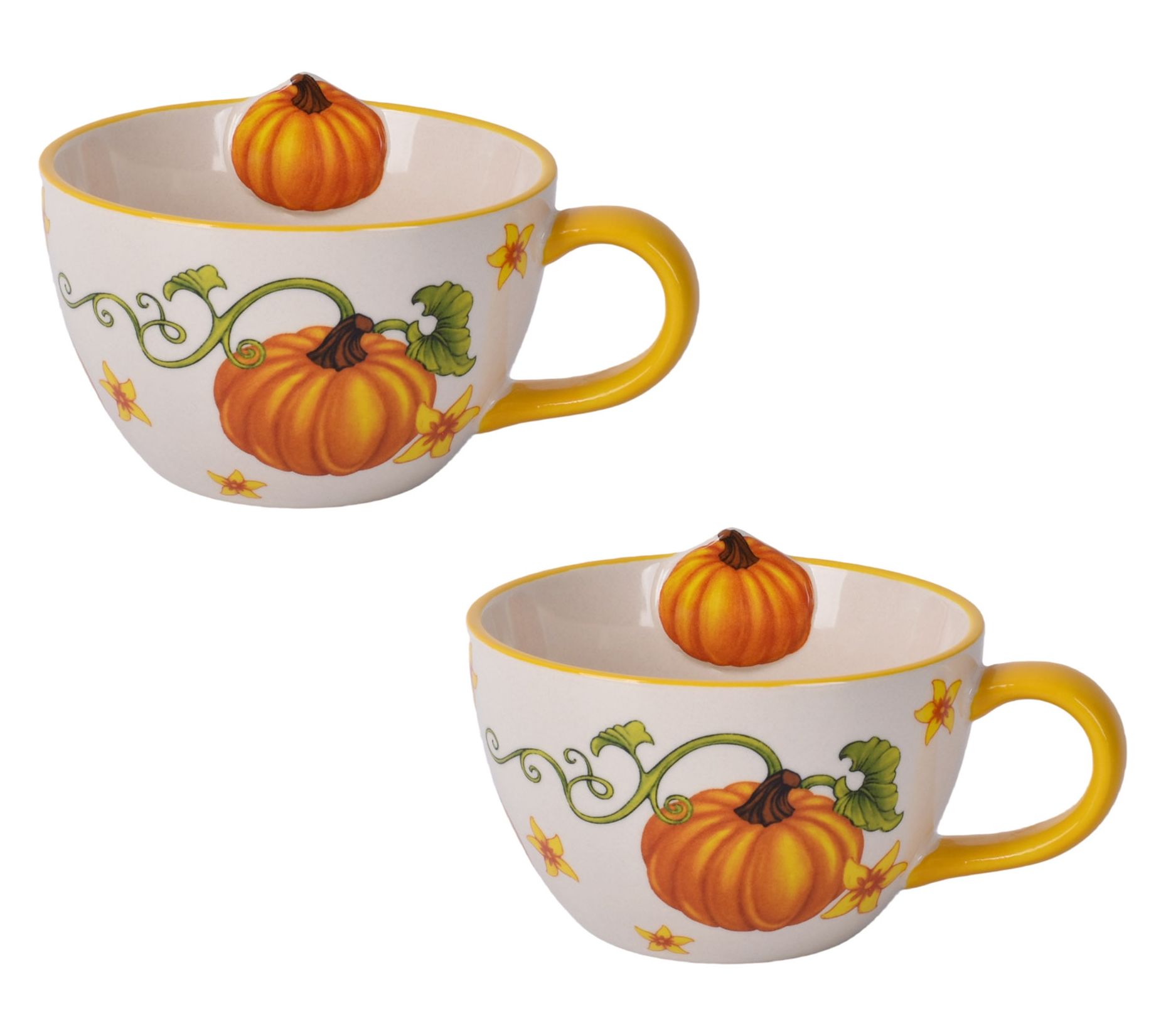 Temp-tations Set of 2 22-oz Peek-a-Boo Soup Bowls