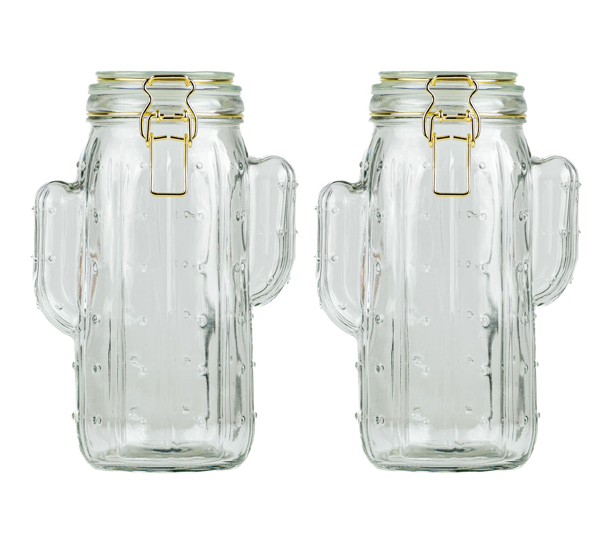 10 Strawberry S treet Set of 2 Saguaro Hermeti c Jars, Large