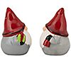 10 Strawberry Street Nordic Gnome Canister & Ac cessory Set, 3 of 5