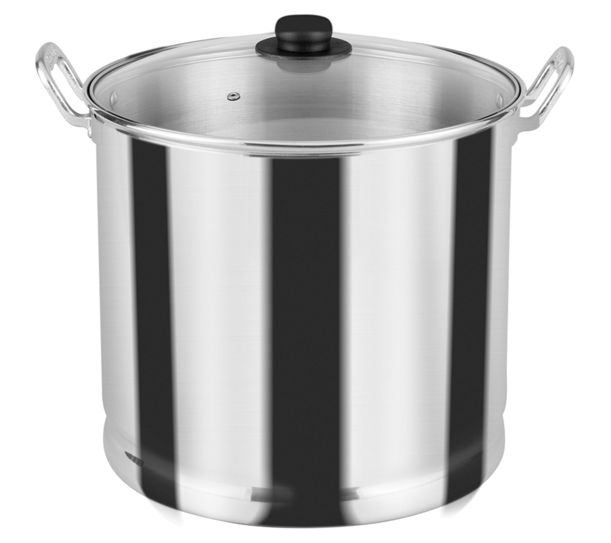 Bergner Essentials 2.6-Quart Stainless Steel Soup Pot with Tempered Glass Lid and Steamer Insert - Silver - 2.6 Quart