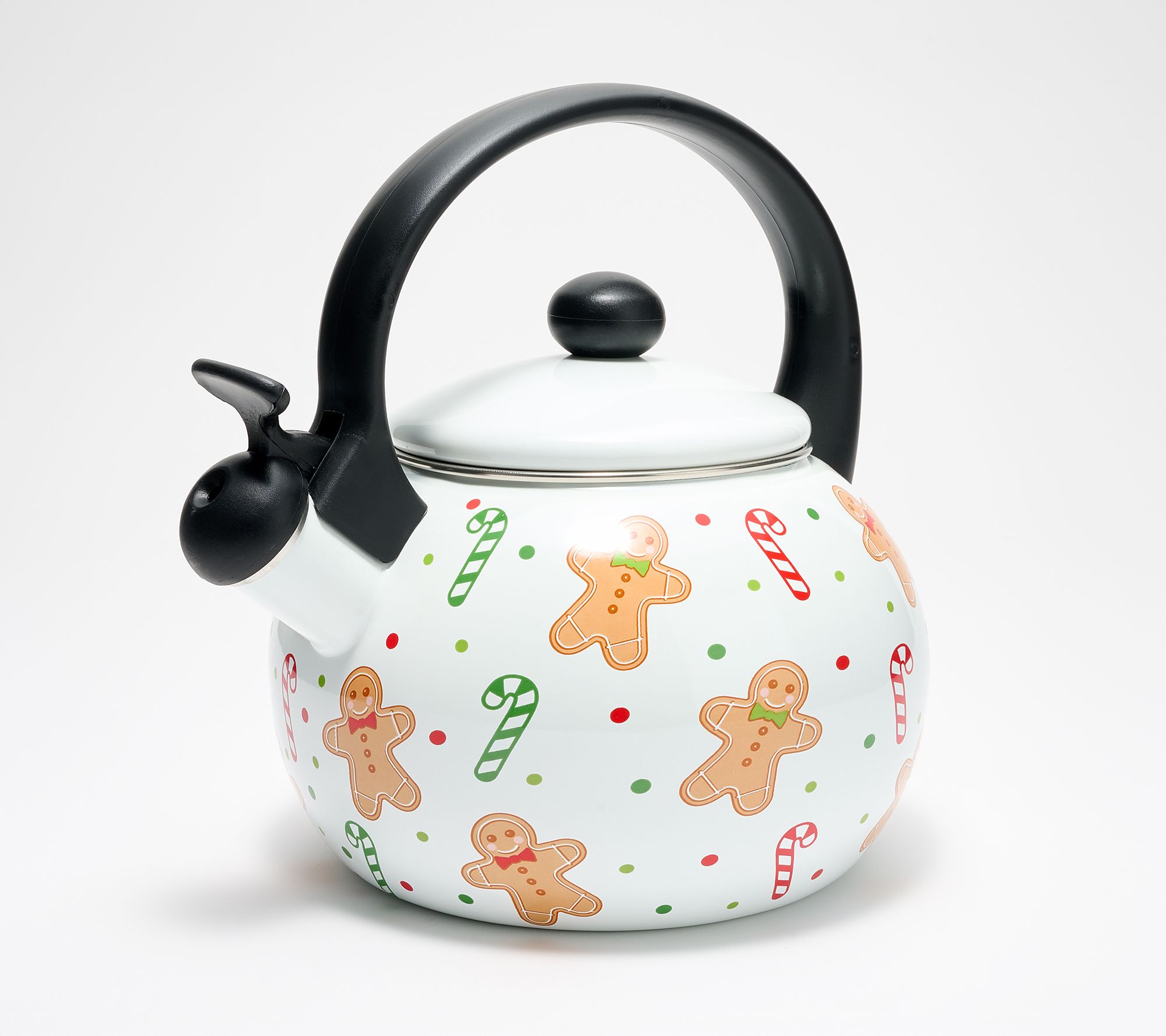 Temp-tations Seasonal Enamel on Steel Kettle