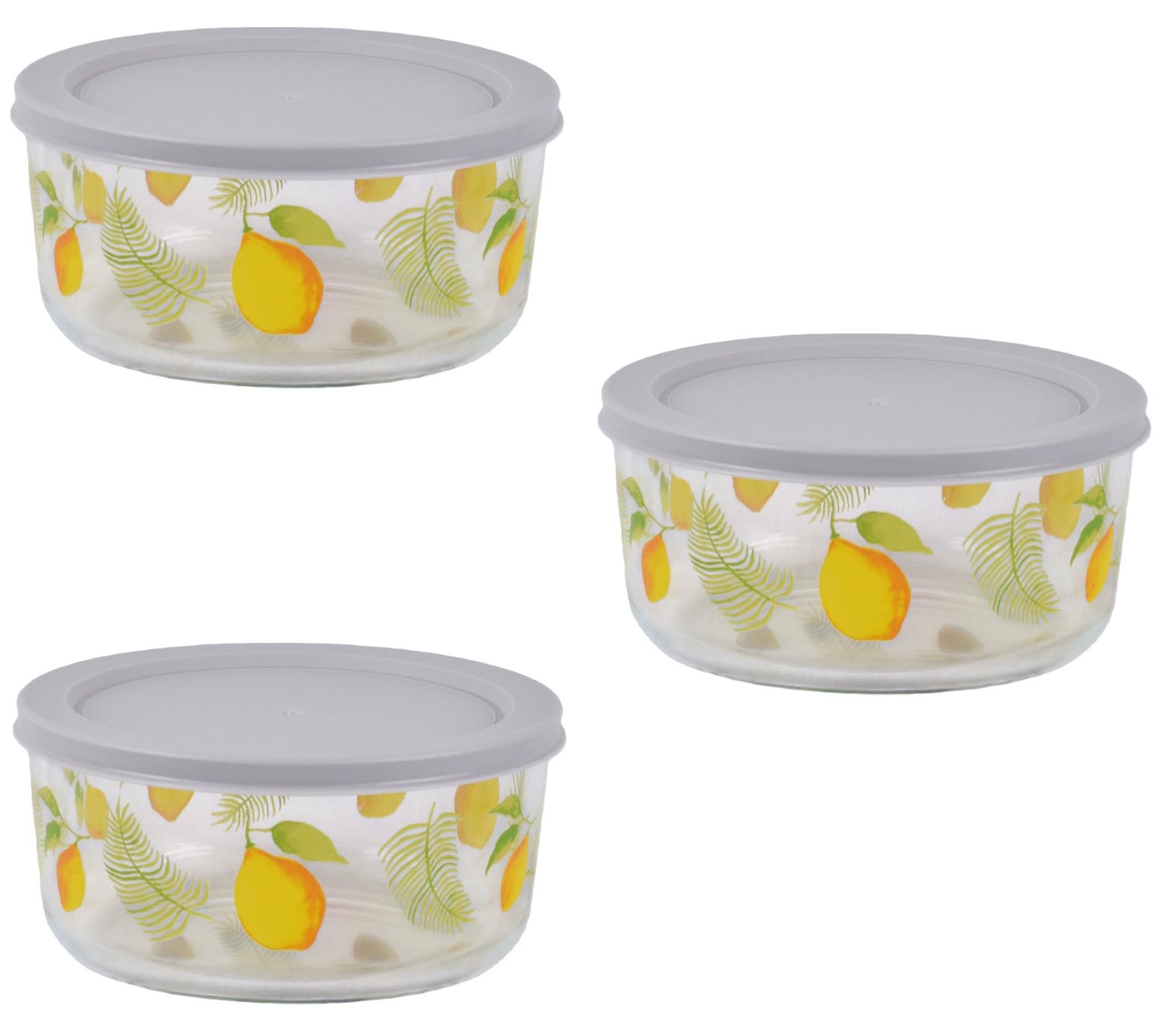 Temp-tations Borosilicate Glass Bowls with Lids