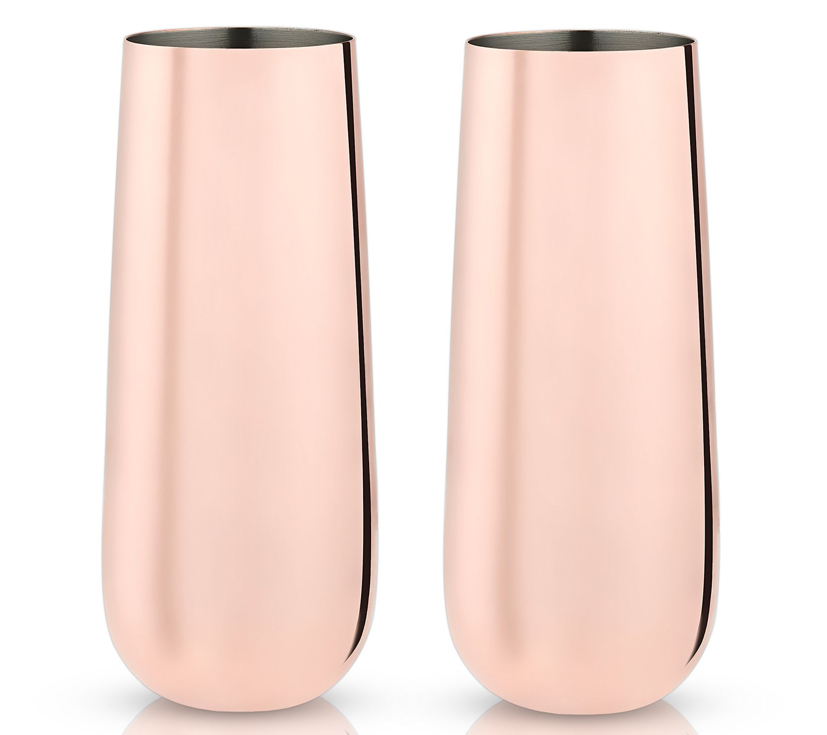 Viski Set of 2 Copper Stemless Champagne Flutes