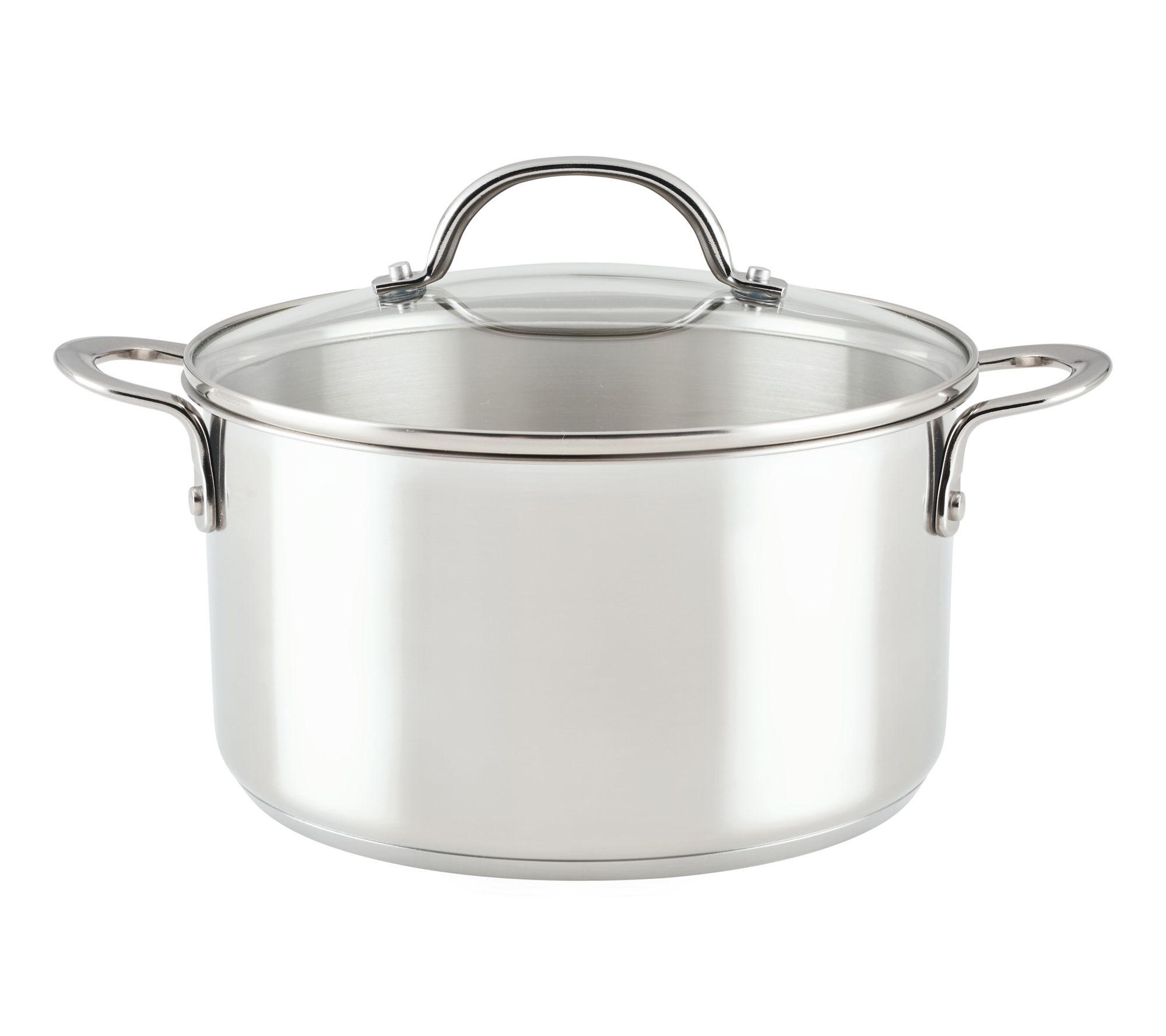 Rachael Ray Professional Covered Stainless Steel 6qt Stockpot
