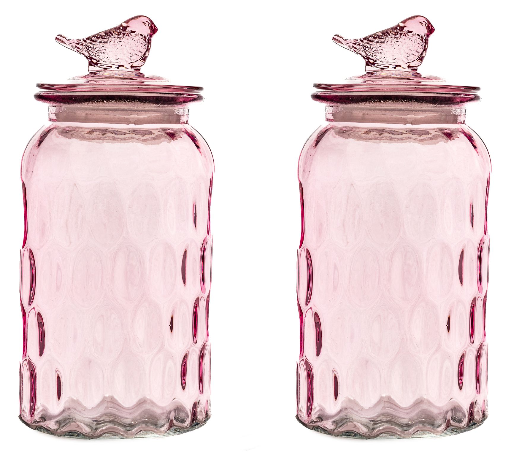 10 Strawberry Street Textured Glass Bird Canistr, Set of 2