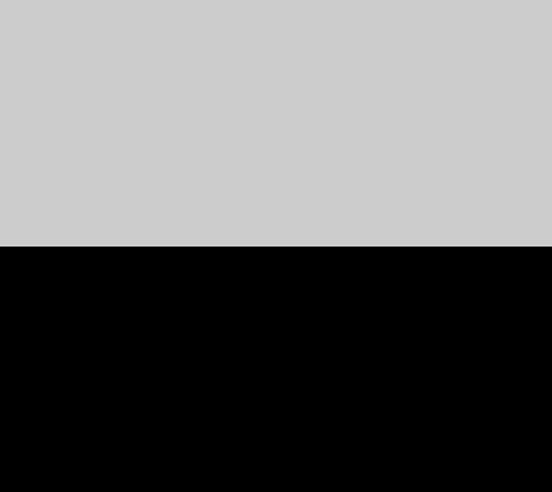 Silver/Black