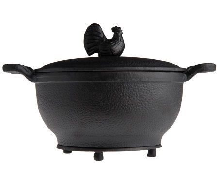 Paula Deen 5 Quart Cast Iron Covered Oval Casserole : : Home