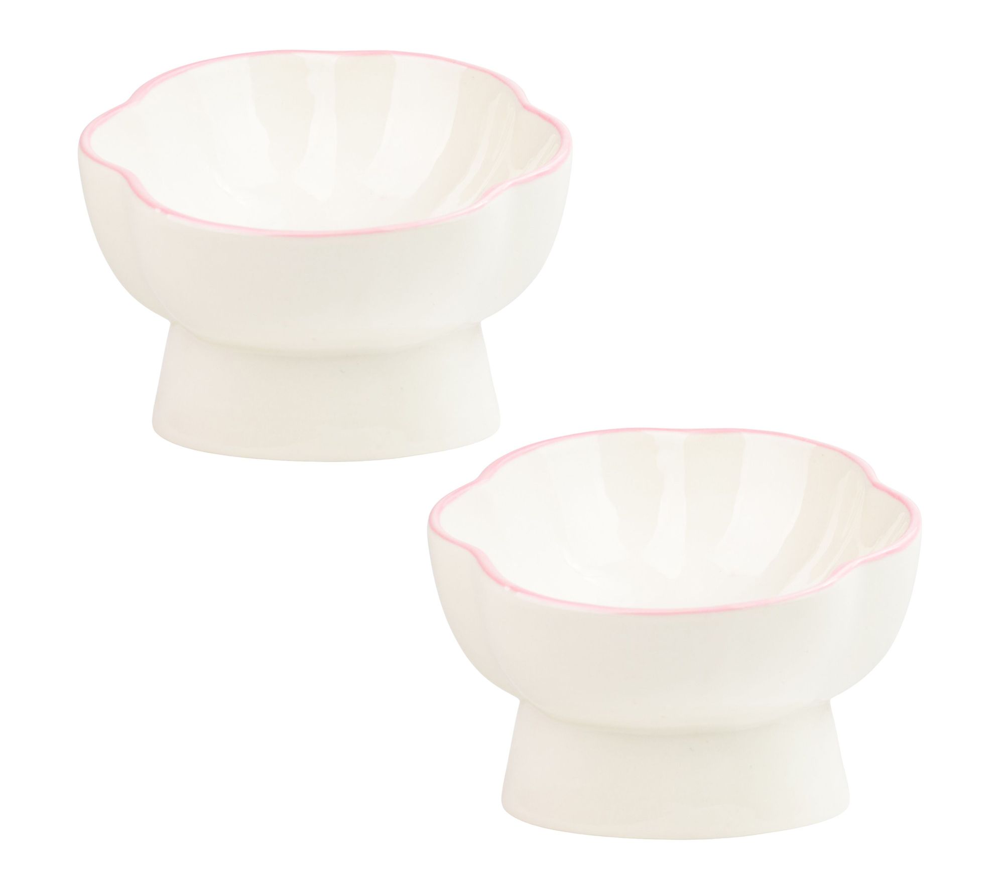 10 Strawberry S treet Set of 2 Paws Up Elevate d Pet Bowl, Lar