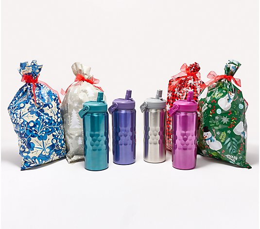Primula Set of 4 Insulated 18-oz Water Bottleswith Gift Bags ,Classic