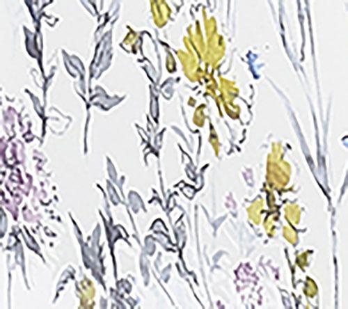 Meadow