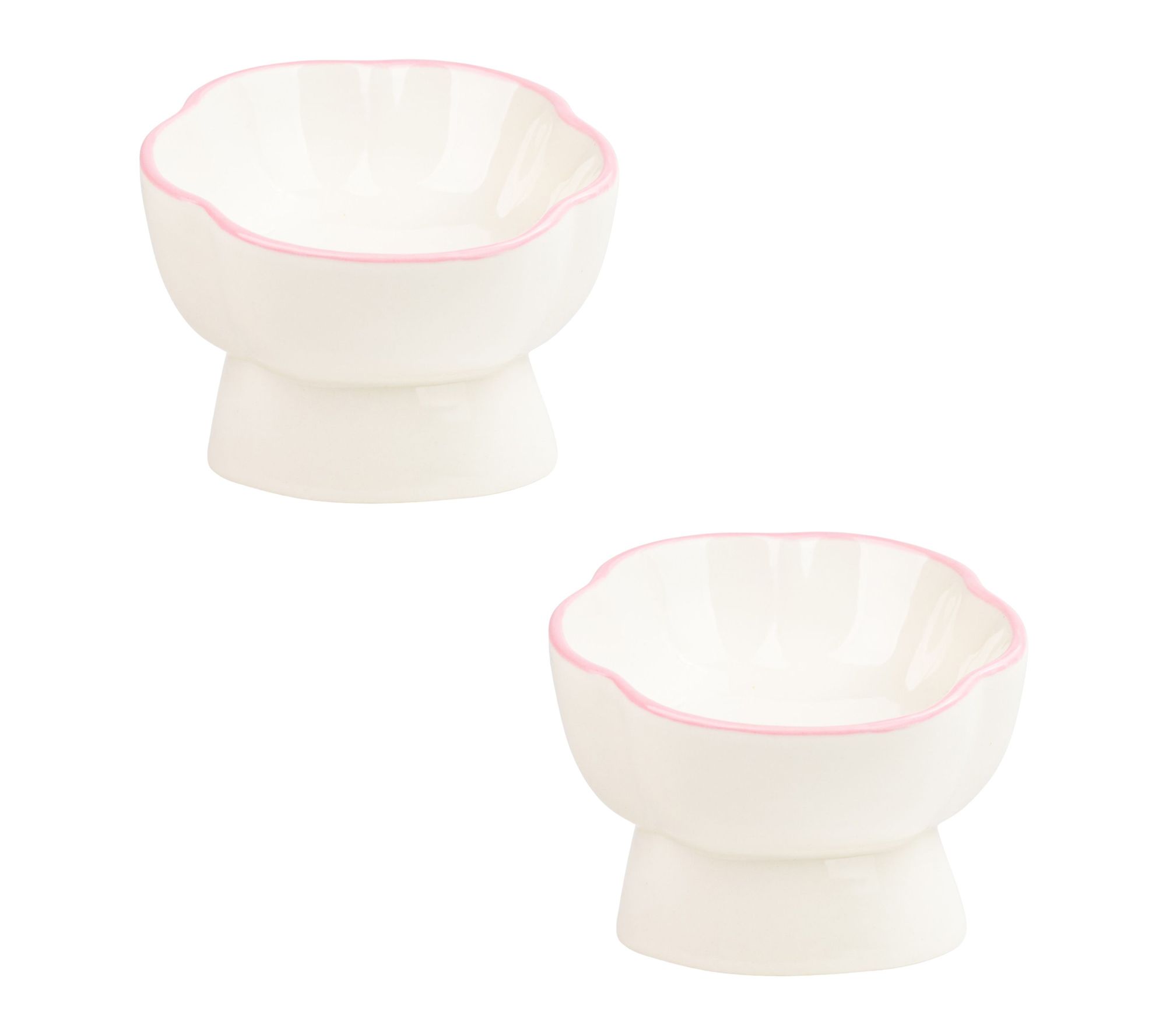 10 Strawberry Street Set of 2 Paws Up Elevated Pet Bowl, Small