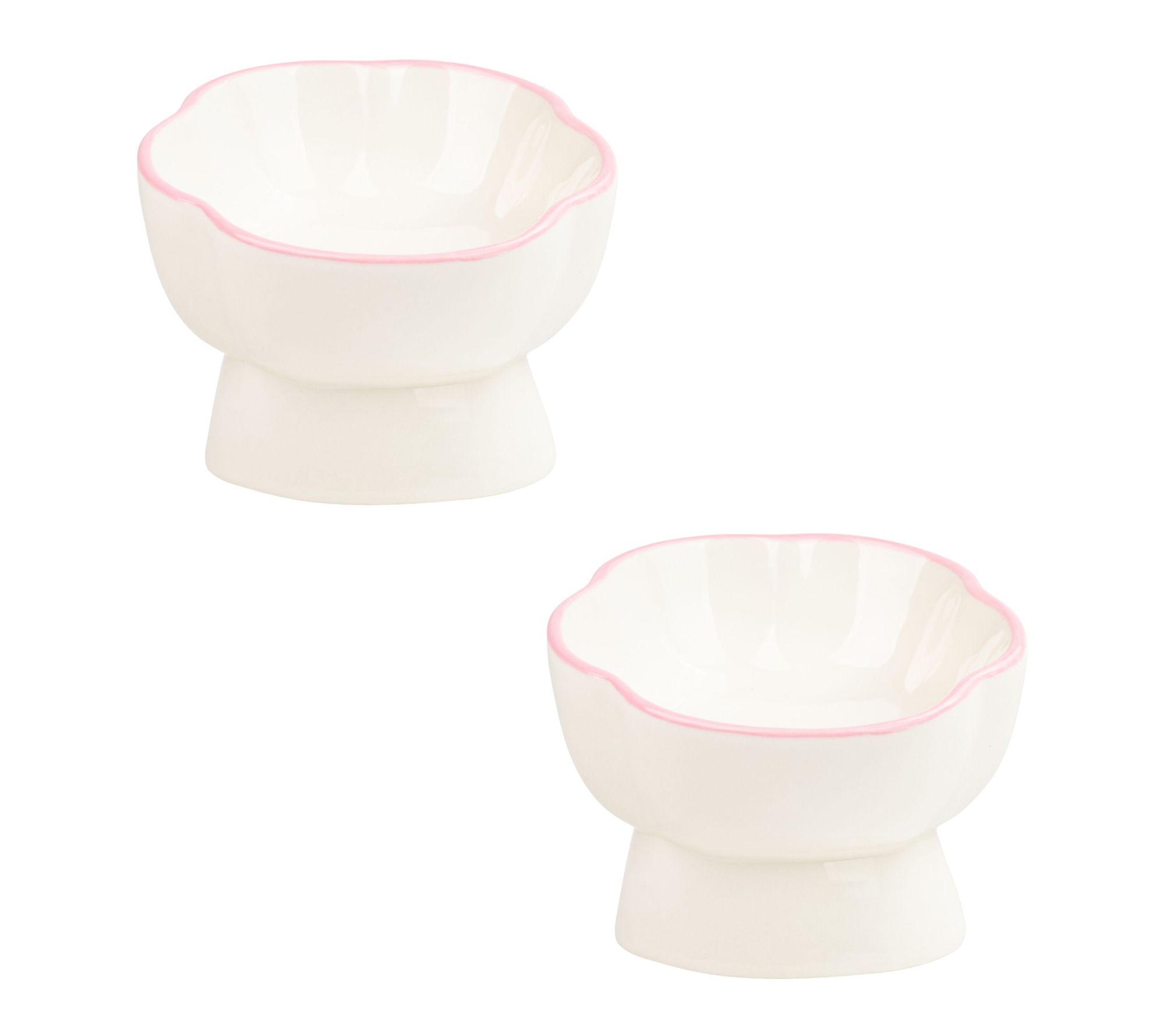 10 Strawberry S treet Set of 2 Paws Up Elevate d Pet Bowl, Sma