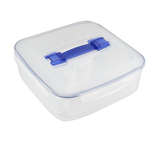 Lock & Lock Appetizer Handy Container with Removable Divided Tray 