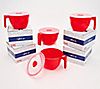 Decor Set of 4 34-oz Leakproof Soup Mugs with Gift Boxes