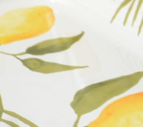 Lemons & Palm