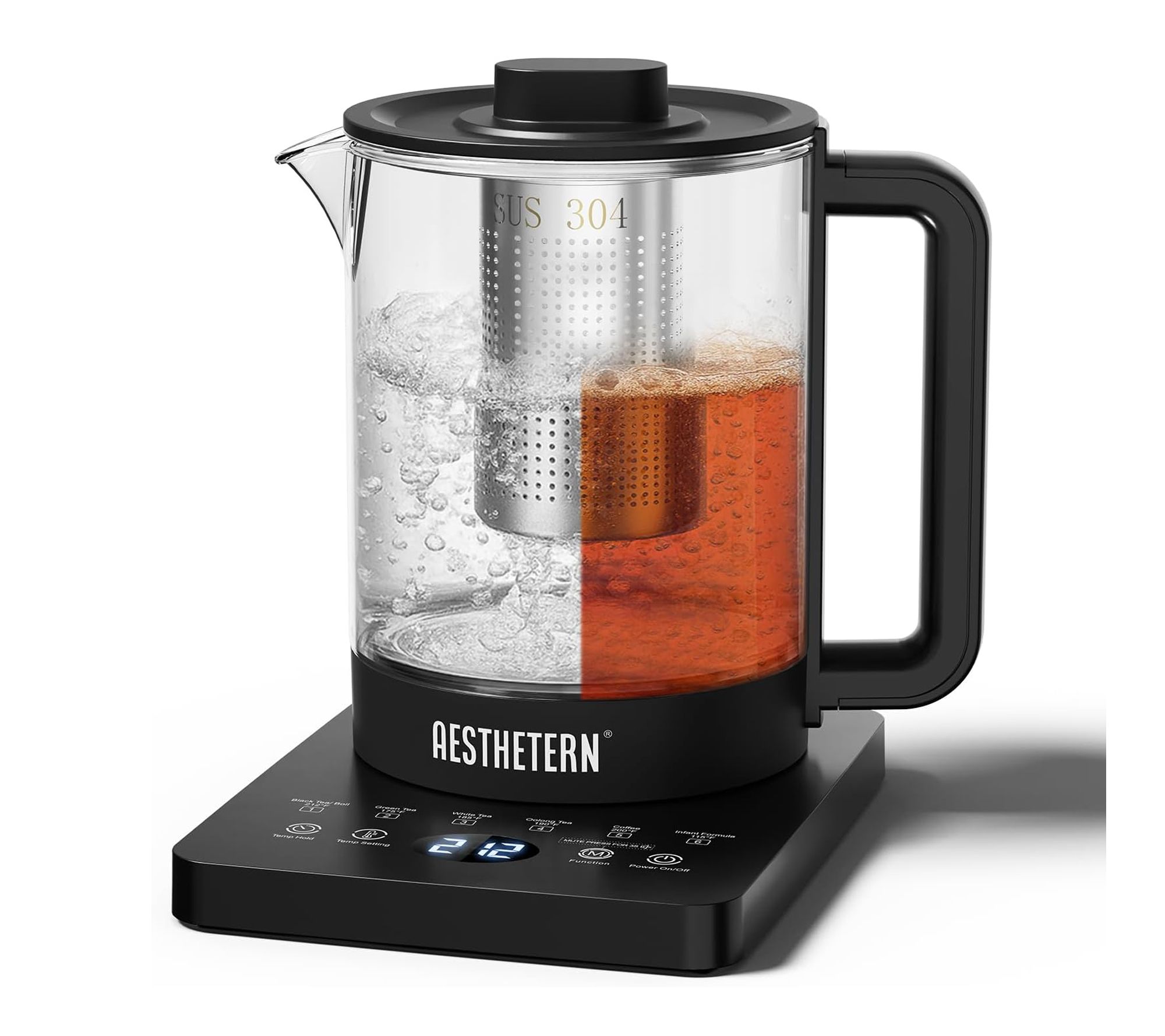 Aesthetern Electric Tea Kettle with Infuser, Black