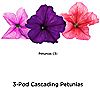 AeroGarden 3-Pod Cascading Petunias Kit, 1 of 2