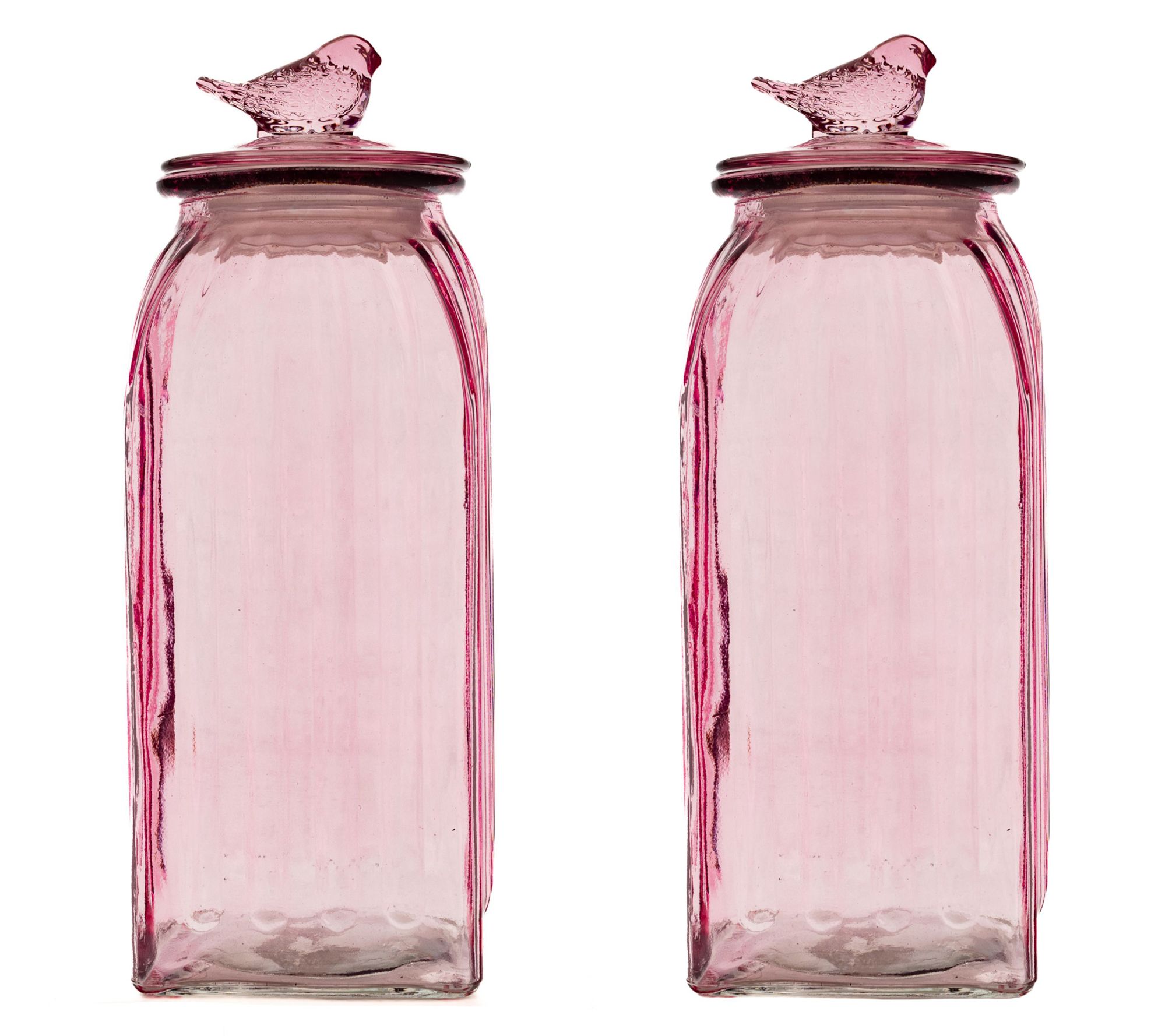 10 Strawberry Street Set of 2 Textured Glass Bird Canisters