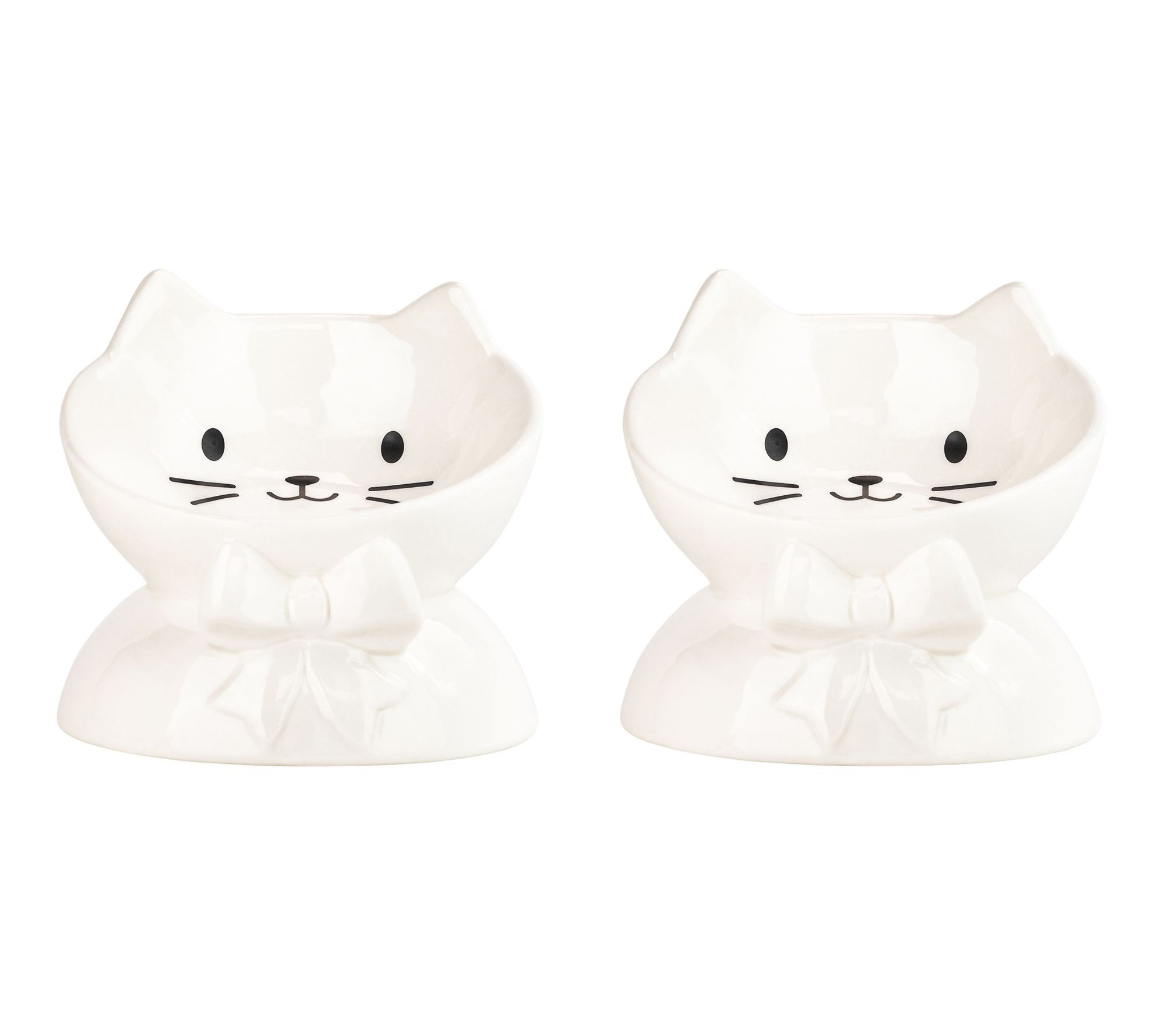 10 Strawberry Street Set of 2 Pretty Whisker Elevated Pet Bowl