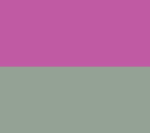 Purple/KhakiGrn
