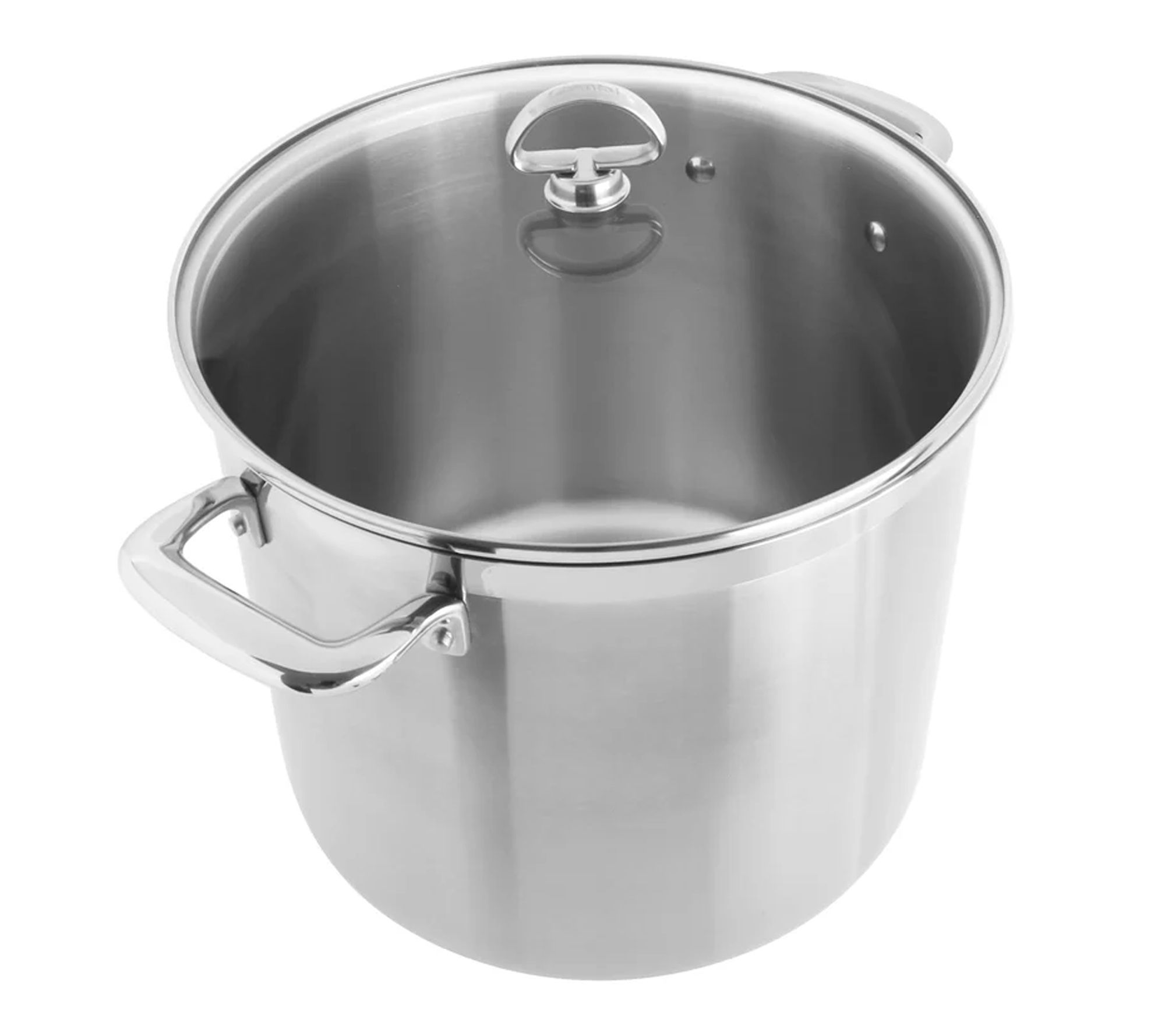 Chantal Induction 21 Steel Stockpot with GlassLid, 12 Quart