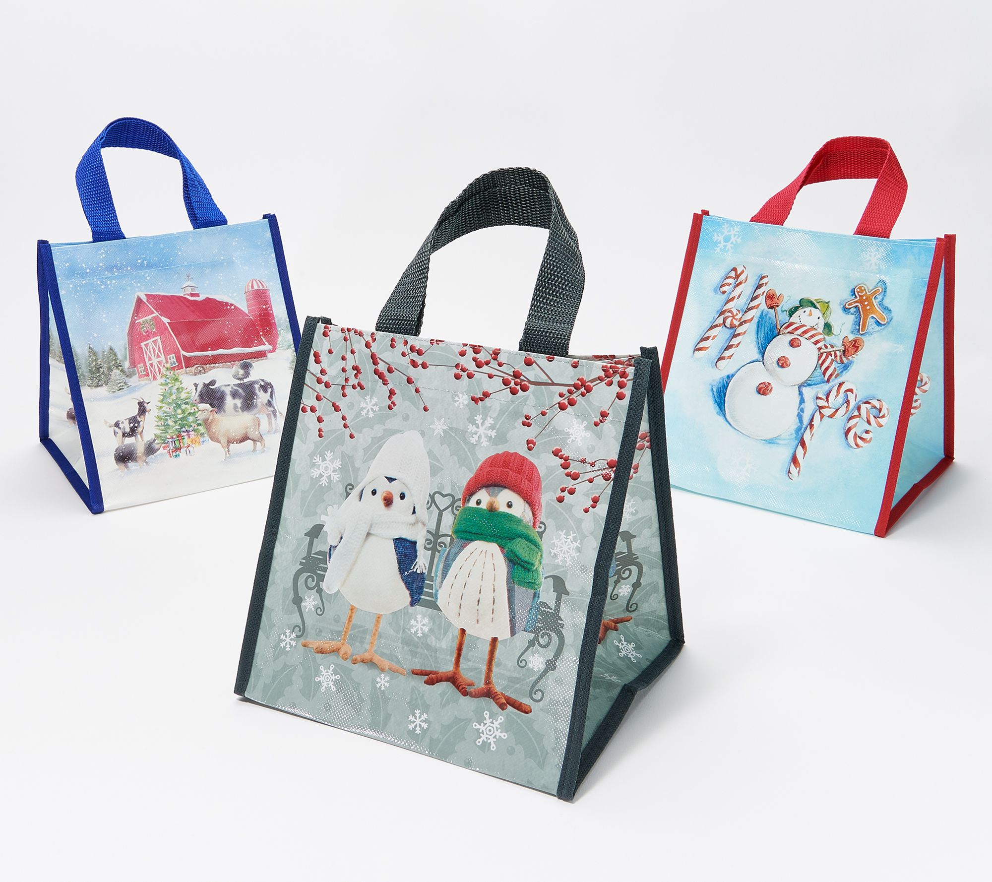 (QVC) Lock & Lock Set of 6 Canister or Rectangle Set w/ Holiday Bags