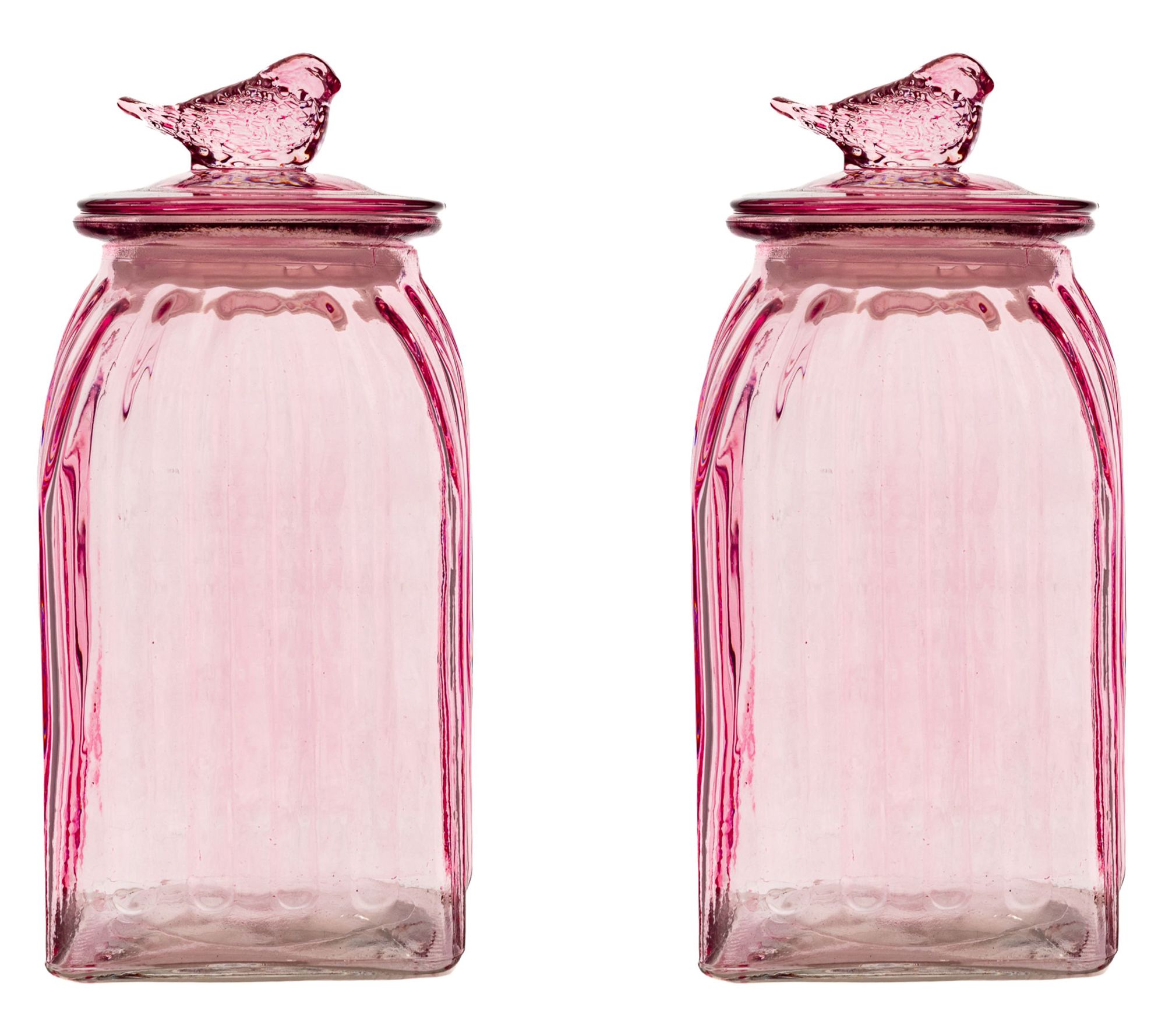 10 Strawberry Street S/2 Medium Textured GlassBird Canisters