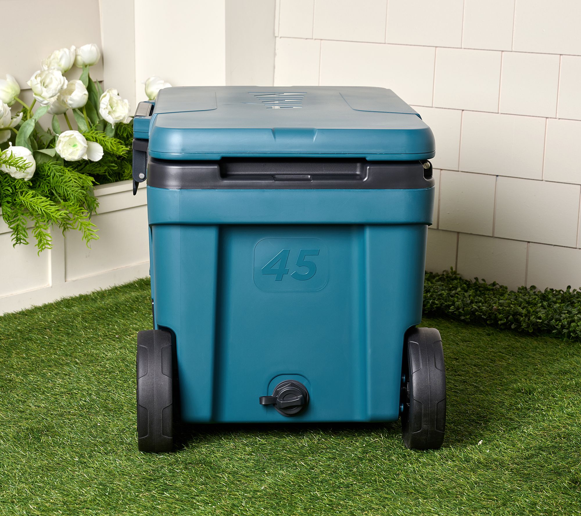 Ninja FrostVault 45qt Wheeled Cooler with Cold Dry Zone - QVC.com
