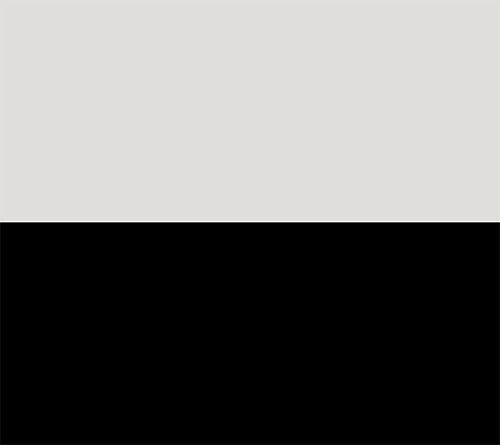 Silver/Black