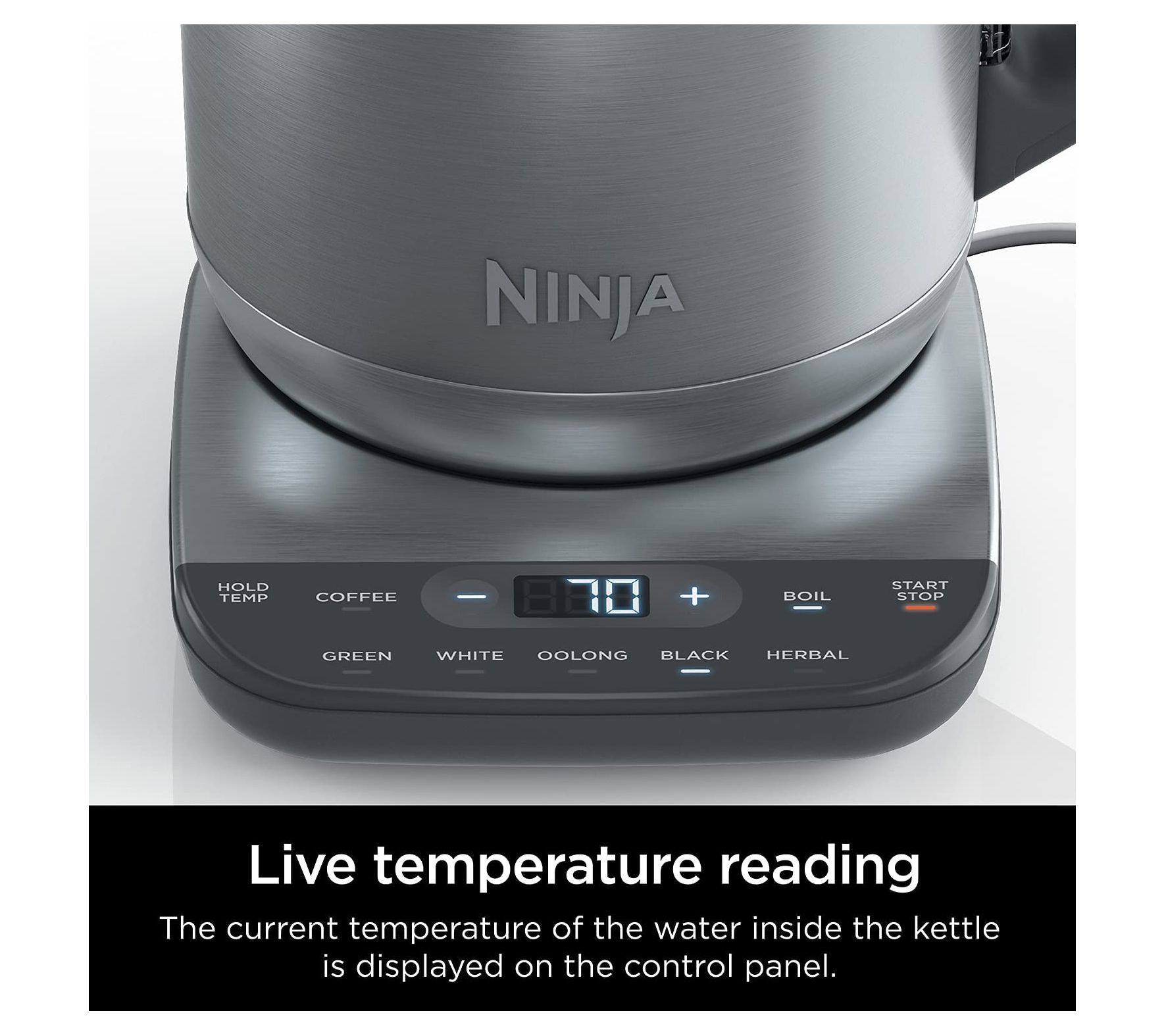 Ninja Precision Temperature Kettle 3D model - Download Electronics on