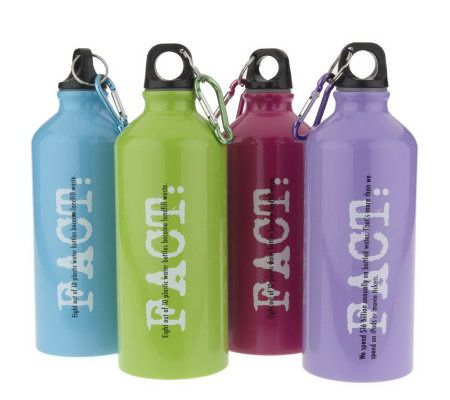 Set of 4 Aluminum Water Bottles - QVC.com