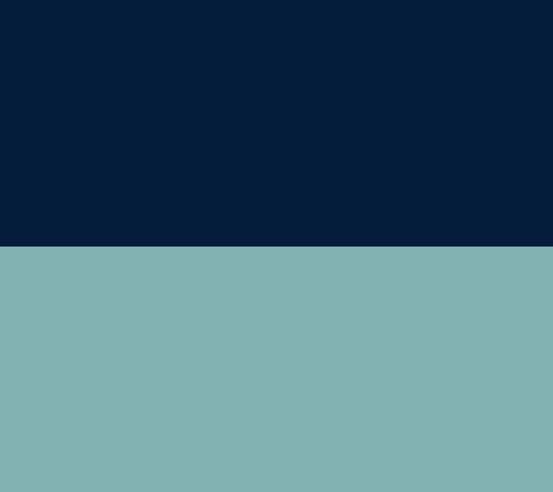 Elveden Navy