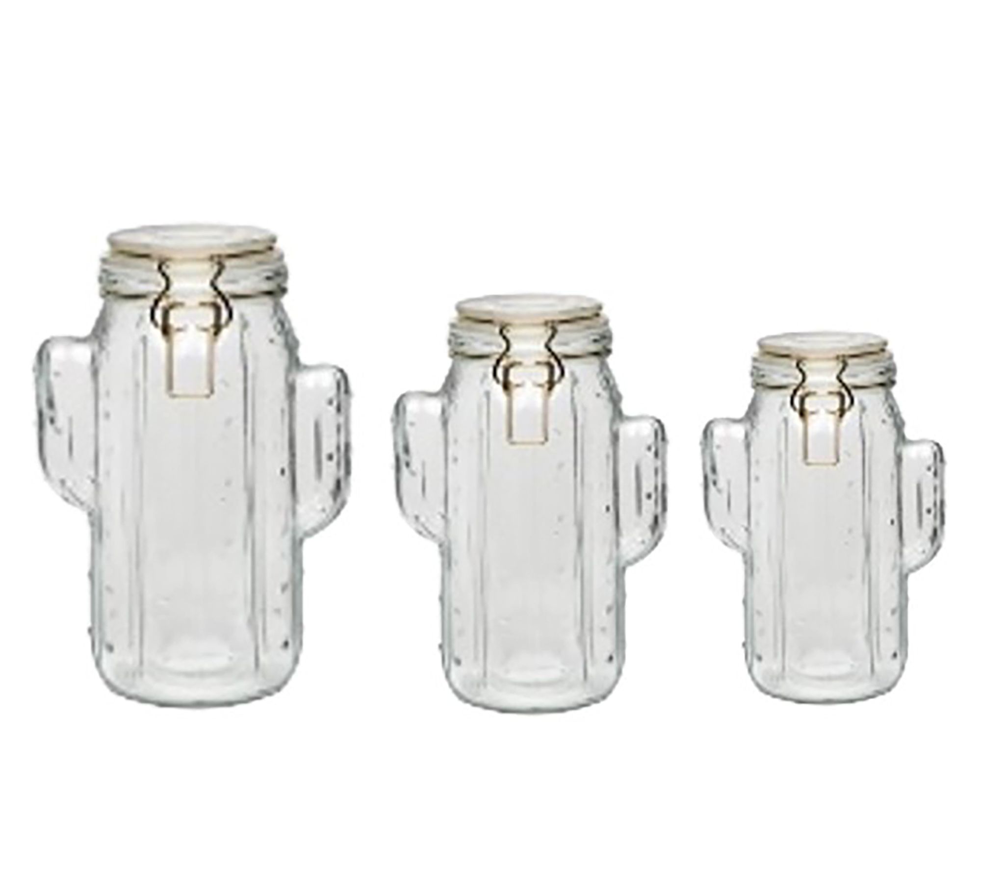 10 Strawberry Street Saguaro Hermetic Jar, Setof 3