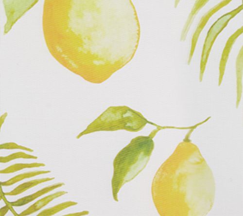 Lemons & Palm
