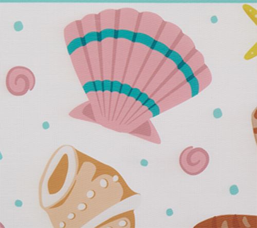 Summer Shells