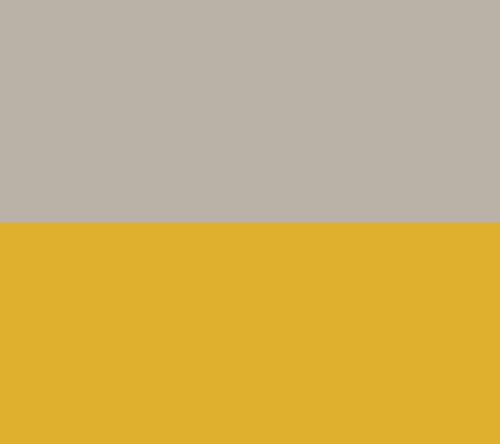 Yellow/Silver
