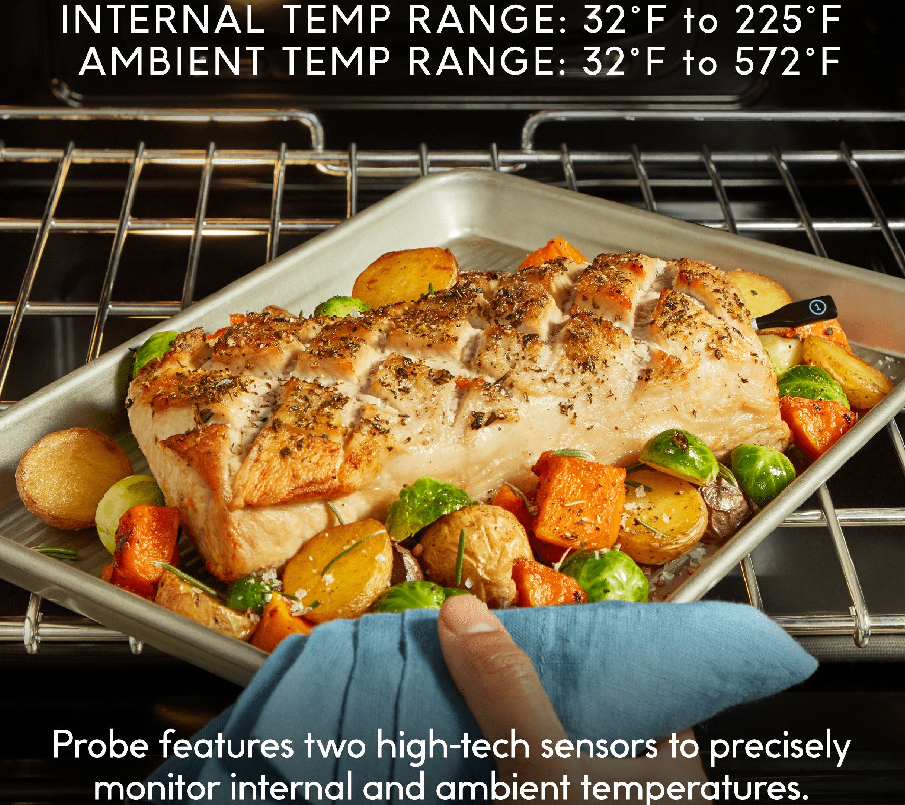 CHEF iQ Smart Thermometer Extra Probe No. 2, Bluetooth/WiFi Enabled, Must  Be Used with Smart Hub 