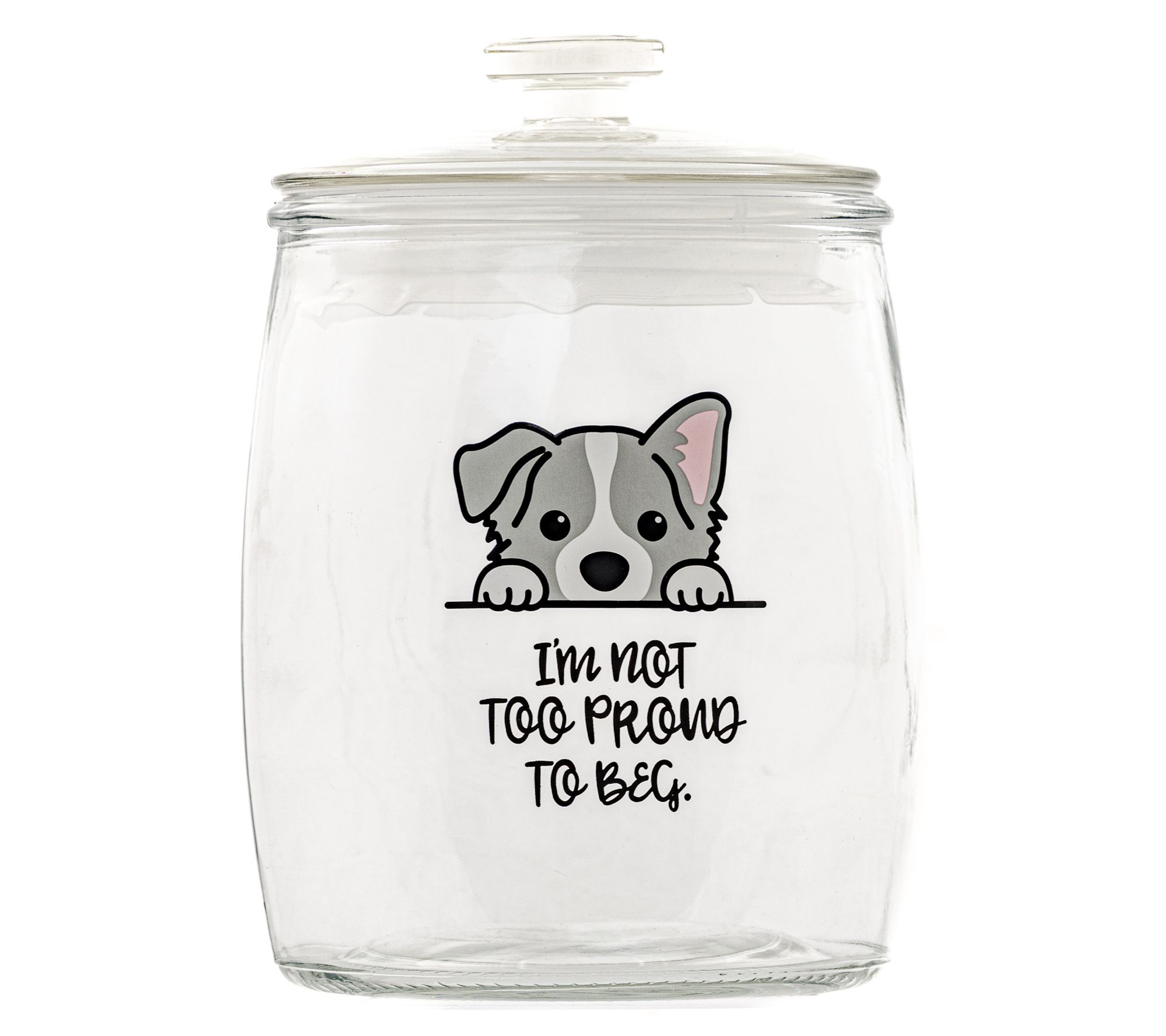 10 Strawberry Street Pet Treat Canister