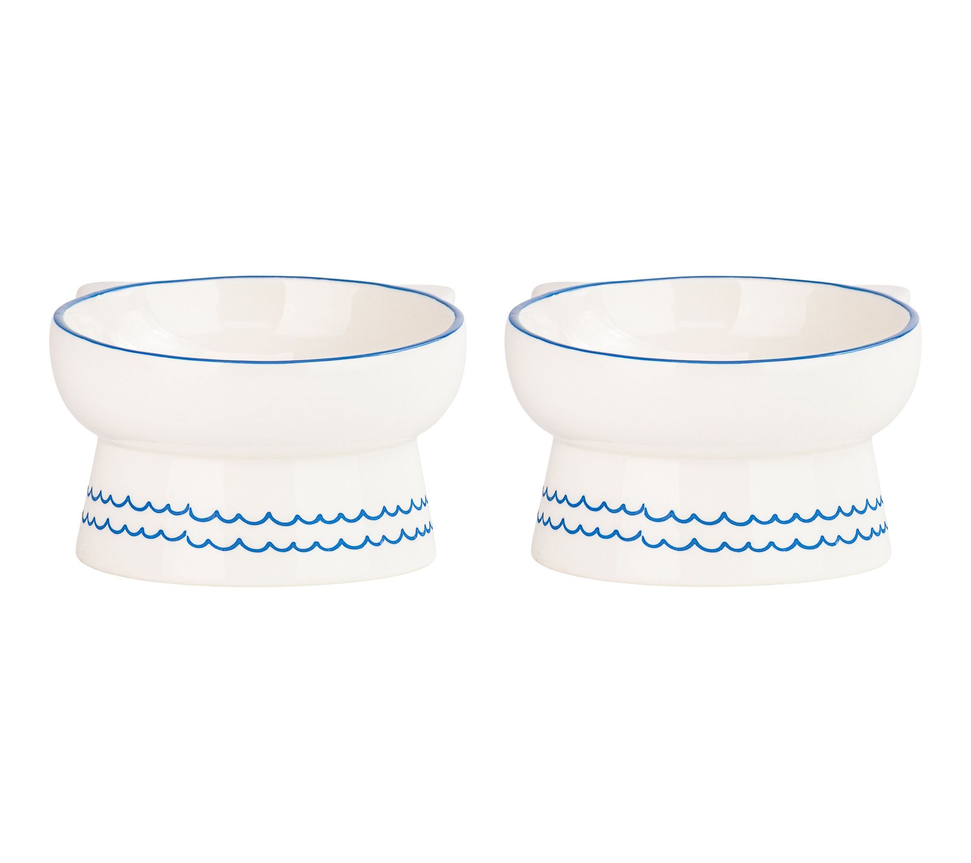 10 Strawberry S treet Set of 2 Ears Up Elevate d Pet Bowl