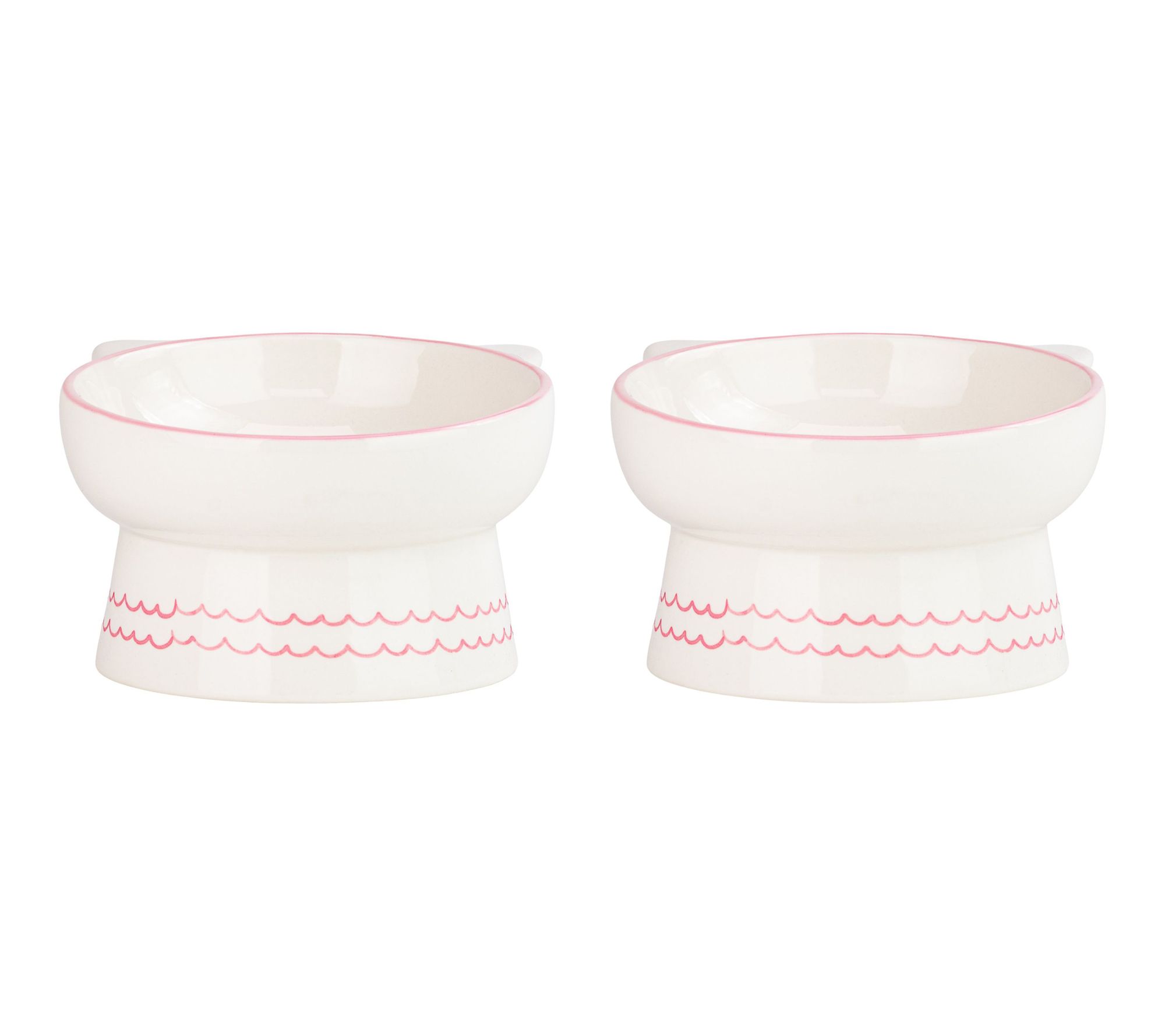 10 Strawberry S treet Set of 2 Ears Up Elevate d Pet Bowl