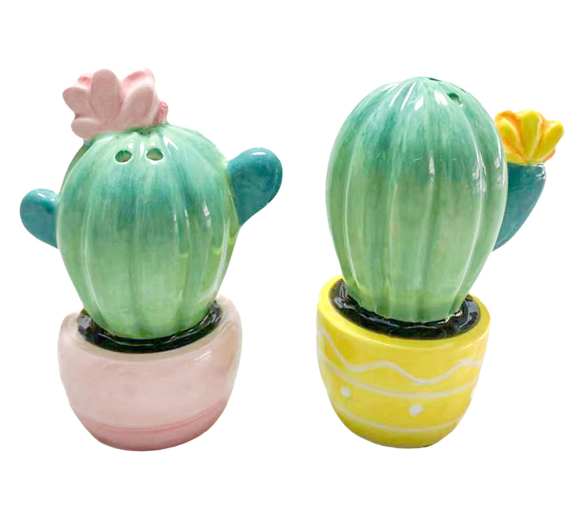10 Strawberry Street Cactus Salt and Pepper Shakers