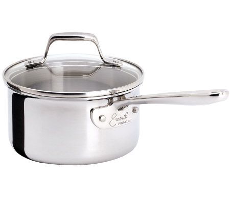 Emeril by All-Clad Pro-Clad 1-Quart Sauce Pan with Lid 