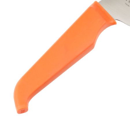 Little Hoot (Stainless) New French Solid Knife by Rachael Ray