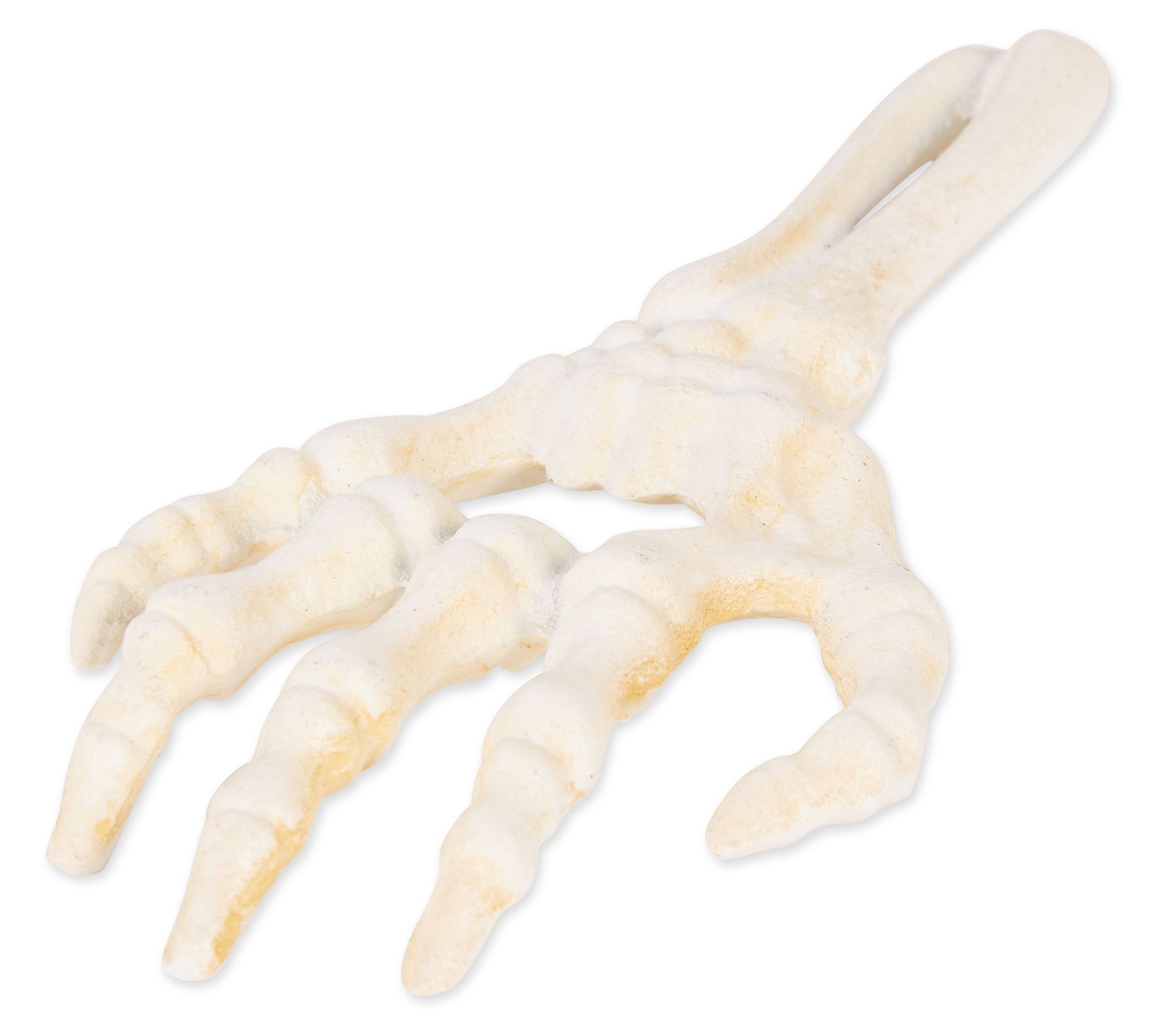 Design Imports Cast Iron Skeleton Hand Bottle Opener