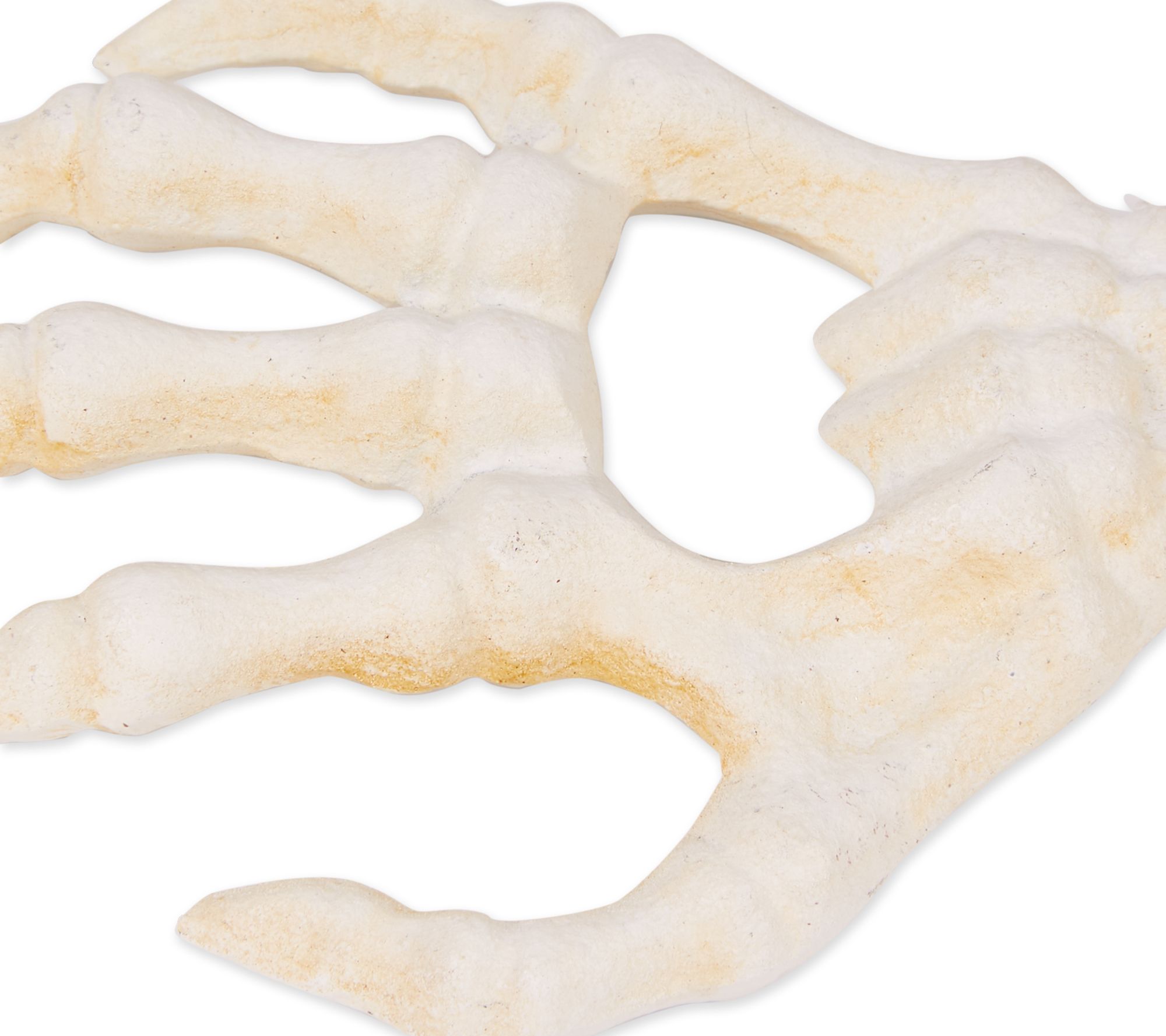 Design Imports Cast Iron Skeleton Hand Bottle Opener