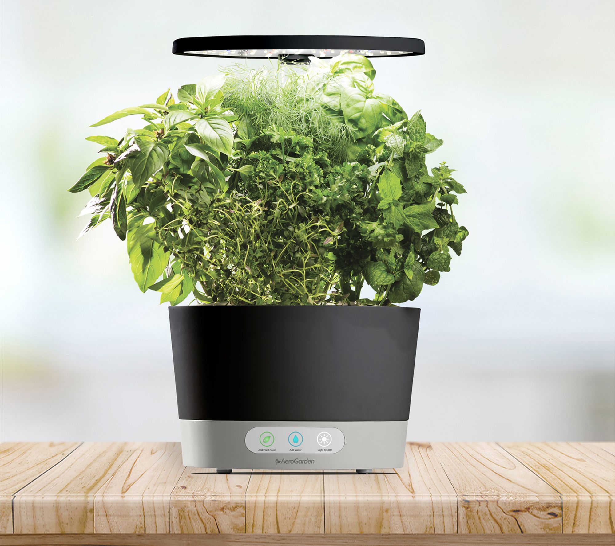 Sharper Image® LED Glow Grow Indoor Water Herb Garden Kit, No Soil