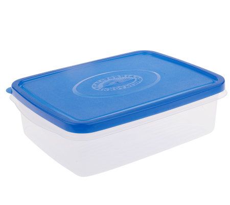 Travelin' Chef Domed Food TransportSystem w/Divider Tray & 2 Containers 