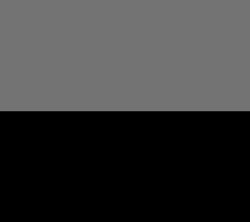 Black/Silver